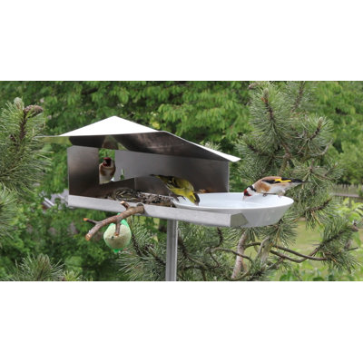 Novosel Bird Feeder