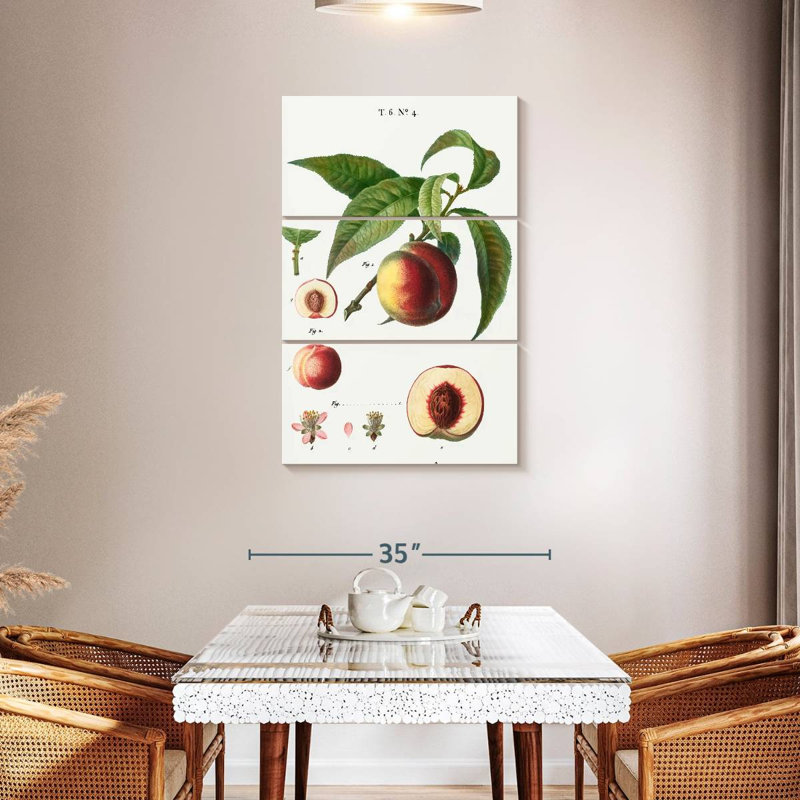 Keiri Peaches Persica Vulgaris II, H 32 po x l 20 po