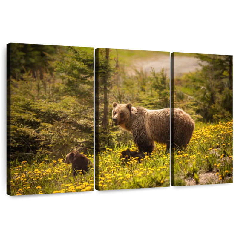 Brampt Canadian Grizzly Bears, 48" H x 74" W