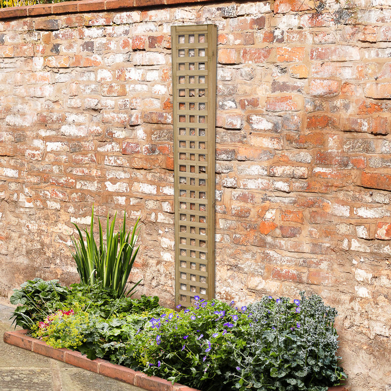 180cm H x 30cm W Wood Lattice Panel Trellis