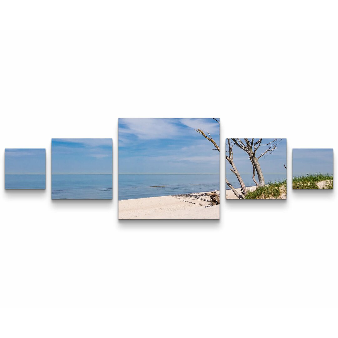 5-tlg. Leinwandbilder-Set Baum am Strand - Ostsee