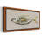 " Fresh Fish Study II "-96864326