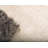 Carrie Indoor Rug-40287420