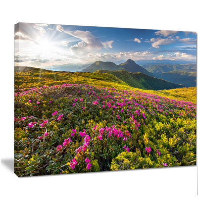 " Summer Day Rhododendron Flowers "