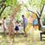 Balloon Backdrop Arch Stand