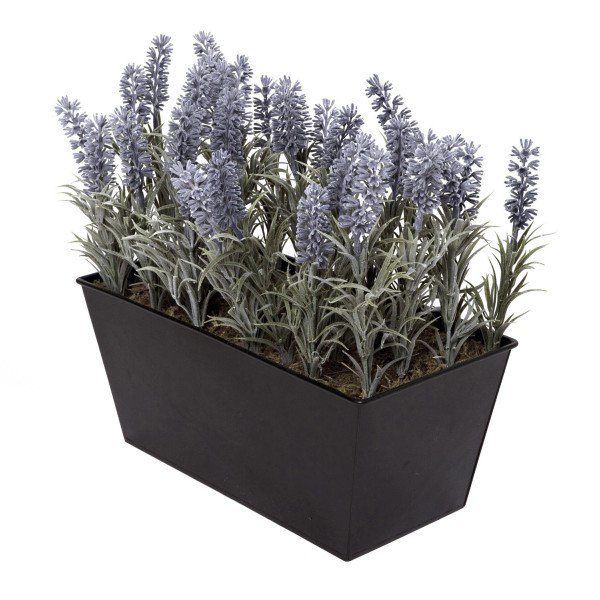 Lavender in Rustic Tin Planter (Window Box)