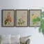 Botanical Array I - ensemble de 3 peintures sur toile encadrées-1480606618-1480606616