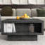 Caomhan Pedestal Coffee Table with Storage-1286931139