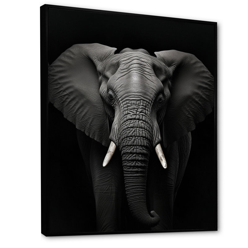 Éléphant noir et blanc - Photo II, Cadre flottant noir, H 32 po x l 24 po x P 1 po