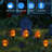 Solar Luminary & Pathway Lights