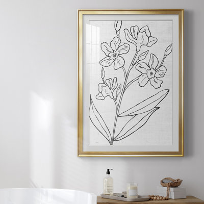 Botanical S croquis I, reproduction encadrée de qualité supérieure - prête à être accrochée
