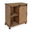 Chariot de cuisine 30 po Dayanah-1296484033