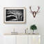 The Stripes of the Zebra - Picture Frame Painting Print-56712647-56712649