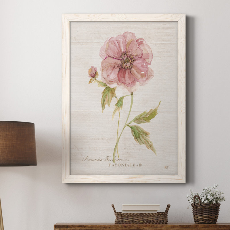Soft Peony - peinture sur toile encadrée, Blanc, H 20 po x l 17 po x P 1,5 po