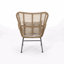 Ensemble de 2 chaises de patio en osier avec coussins Tapscott
