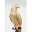 Deco Figurine Parrot 116cm-91886064