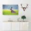 Lone Hare - Wrapped Canvas-55365503