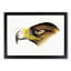 Eagle by John Gould - Framed Print-55621383-55621384