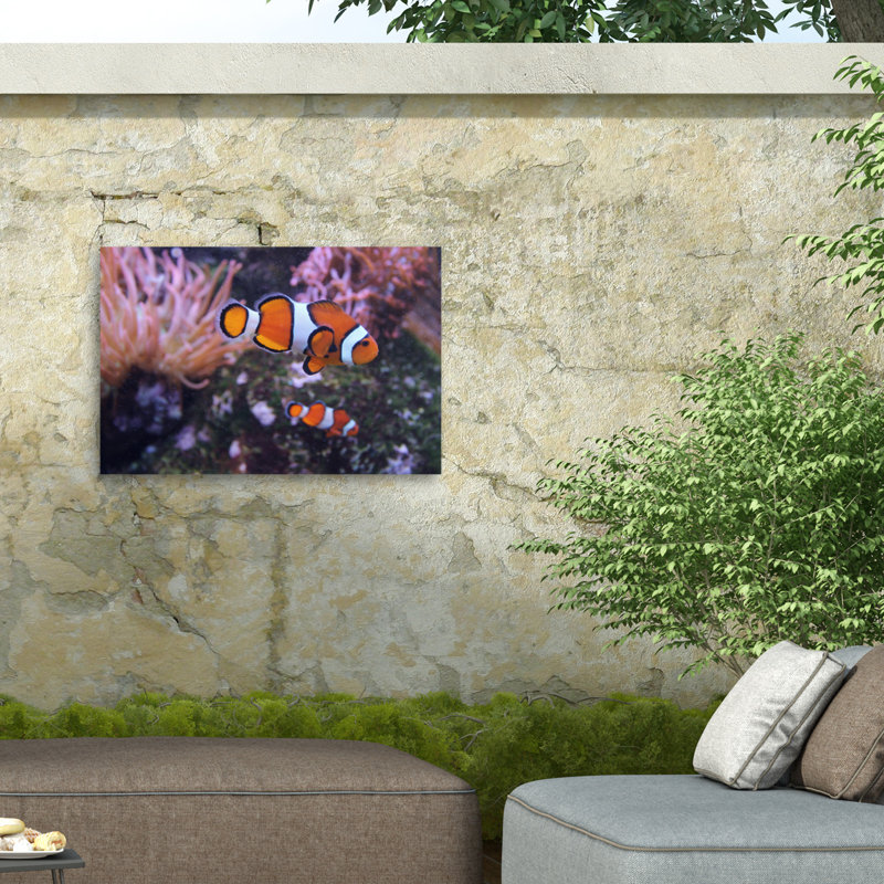 Nemo par Nikie, H 12 po x l 19 po