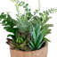 Arrangement de plantes grasses artificielles mixtes en pot 12 po brun et vert