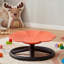 Children's Chair-1891778657