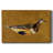 Feathered Friend II-Gallery Wrapped Canvas-86479181