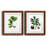 " White Oak " 2 - Pieces-412755168-412755170-412755157
