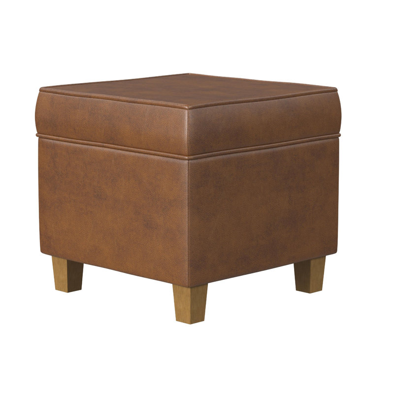 Pyp Square Storage Ottoman, 18 Inch Rich Faux Leather, Brown, Brown