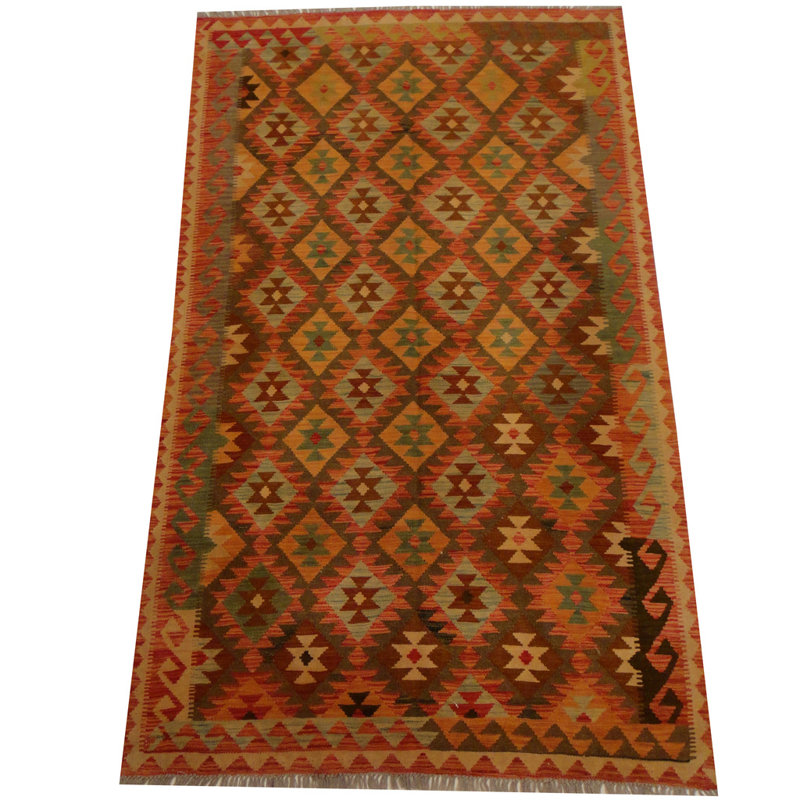 Azpeitia Wool Southwestern Indoor Rug