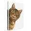 Furtado «Brown Cat Peaking», reproduction de peinture acrylique sur toile tendue-30400365