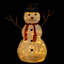 172.72cm Indoor / Outdoor String Lights