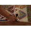 Tapis oriental géométrique Kazak fait à la main 8 x 11