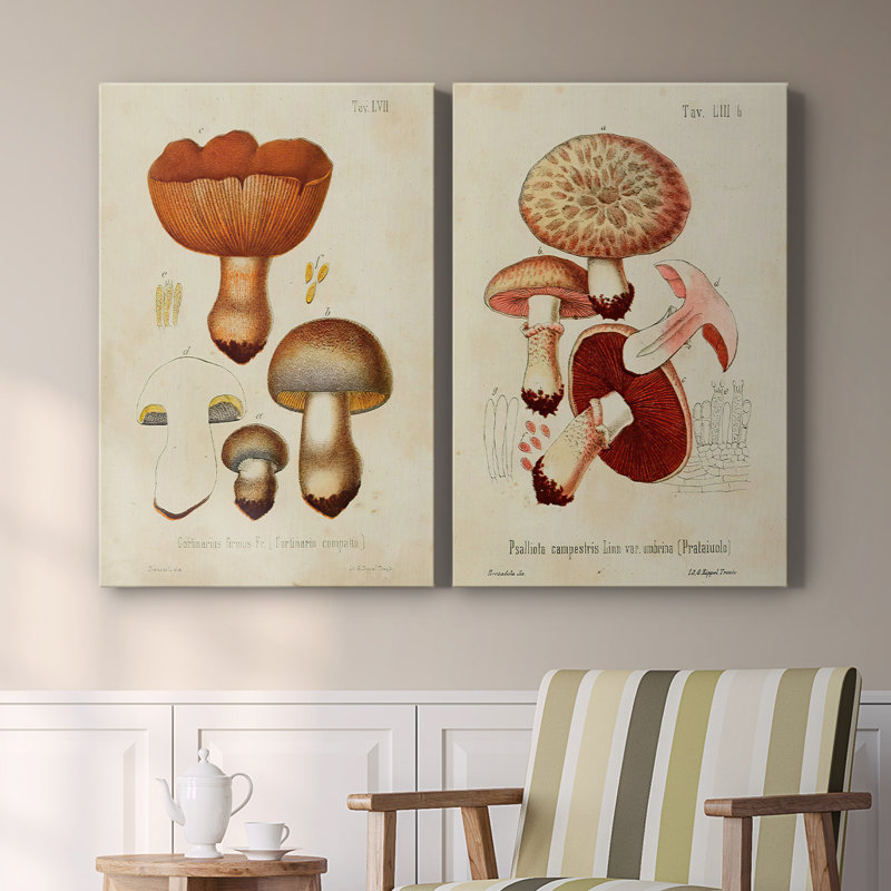 Toile tendue avec châssis Mushroom Variétés I-Premium - Prêt à être accroché, H 27 po x l 36 po