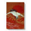 Flying Crane - Wrapped Canvas-55364181