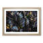 Plant Leaves - Framed Print-56758625-56758626