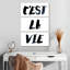 Tergel C'est La Vie Typographie II-108524806