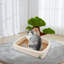 Lit pour animal en velours Daymein
