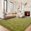 Tapis anti-dérapant doux et moelleux vert pour animaux de compagnie Idéal pour les chambres d'enfants, les chambres de bébé et les chambres à coucher