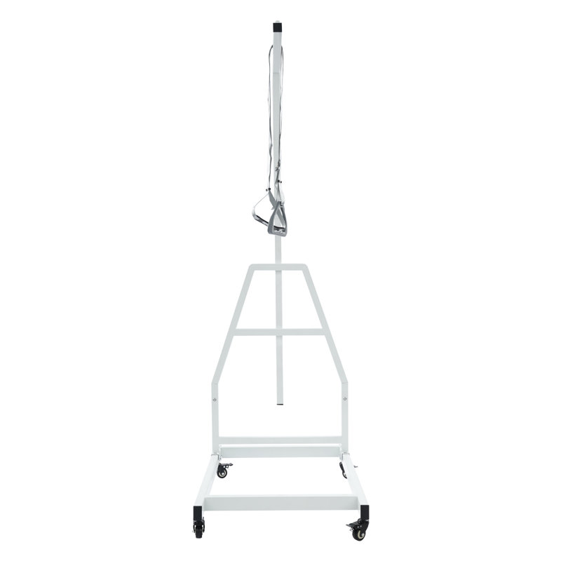 Heavy Duty Pull Up Assist Bar, White