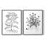 Reproduction encadrée de qualité supérieure B&W Plant Speciment IX - prête à être accrochée - aucun clou requis - aucun clou requis-1068397173-1068397135