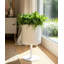 Wanderer Metal Planter on Base - Contemporary Round Iron Planter on Flat Round Base in Classic White - Indoor or Outdoor Decor-1206325670-1206325669