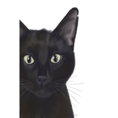 Chat, portrait de Gus