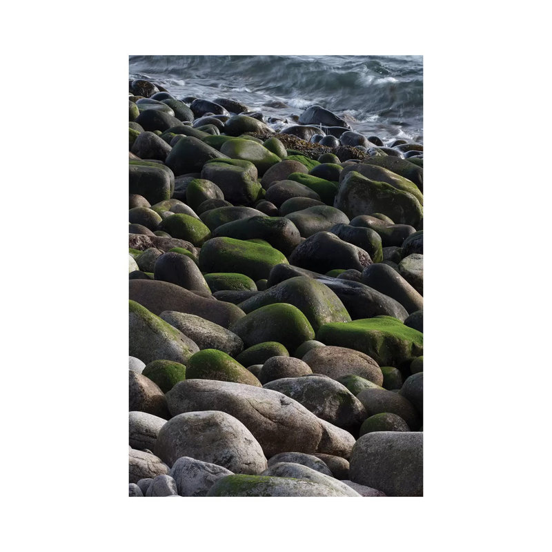 USA, Maine. Moss Covered Rocks And Ocean, Boulder Beach, Acadia National Park by Judith Zimmerman - Wrapped Canvas Print