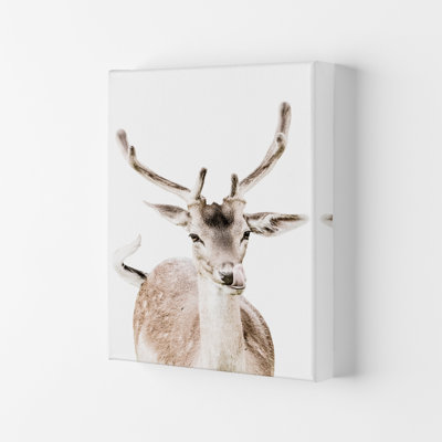 Deer I 1 Piece Wall Art