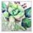White Floater Framed Canvas