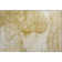 Premium Machine Washable Cerrito AMF507 Beige Rug
