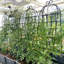 Ensemble de 4 treillis de jardin en métal 71 po x 19,7 po, cadre de plantes d'extérieur antirouille, noir, facile à assembler, treillis en tube galvanisé 4, antirouille, solide