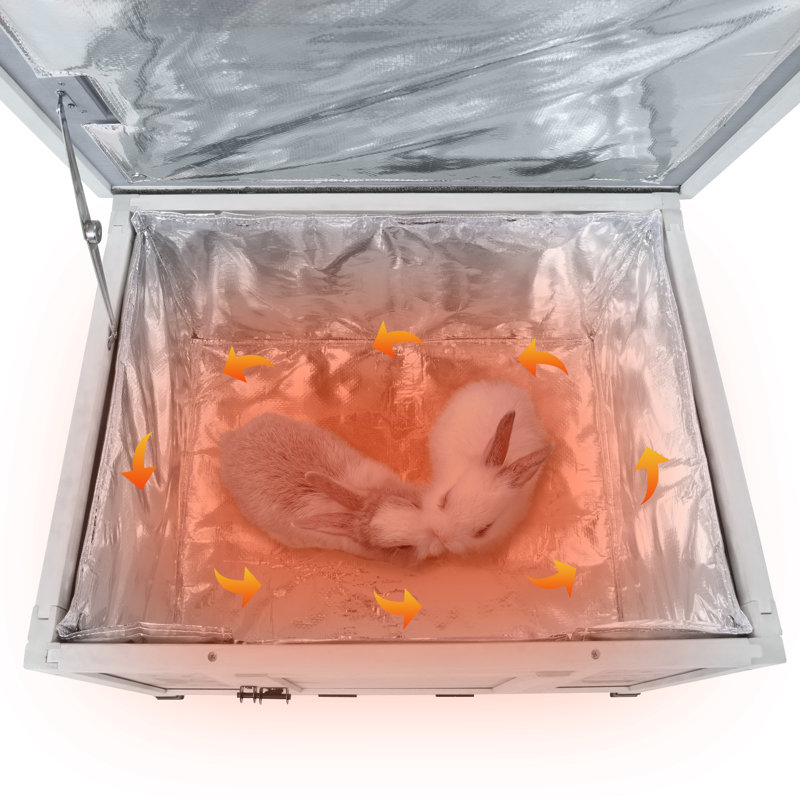 Small Animal Playpen