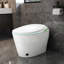 Toilette de bidet intelligente avec siège à ouverture / fermeture automatique, chasse d'eau à jet siphonique, eau chaude, sécheuse, nuit, modes de chasse multiples Couvercle de siège intelligent et automatique, système, alimentation en eau, modes, sans fil