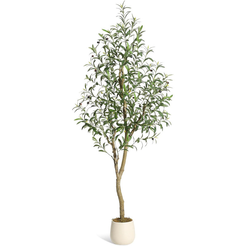 72cm Plant